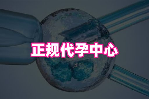 哈尔滨助孕网 3