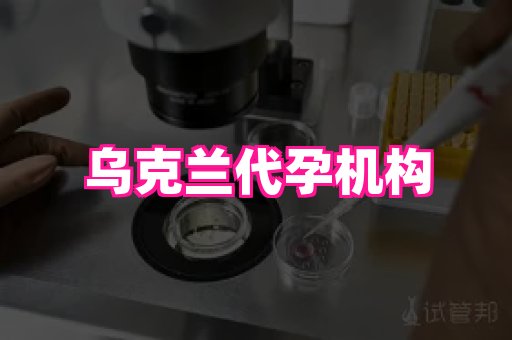 哈尔滨助孕网 4